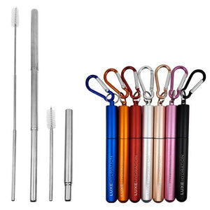 Telescopic (Silver) Stainless Steel Straw + Carrying Case