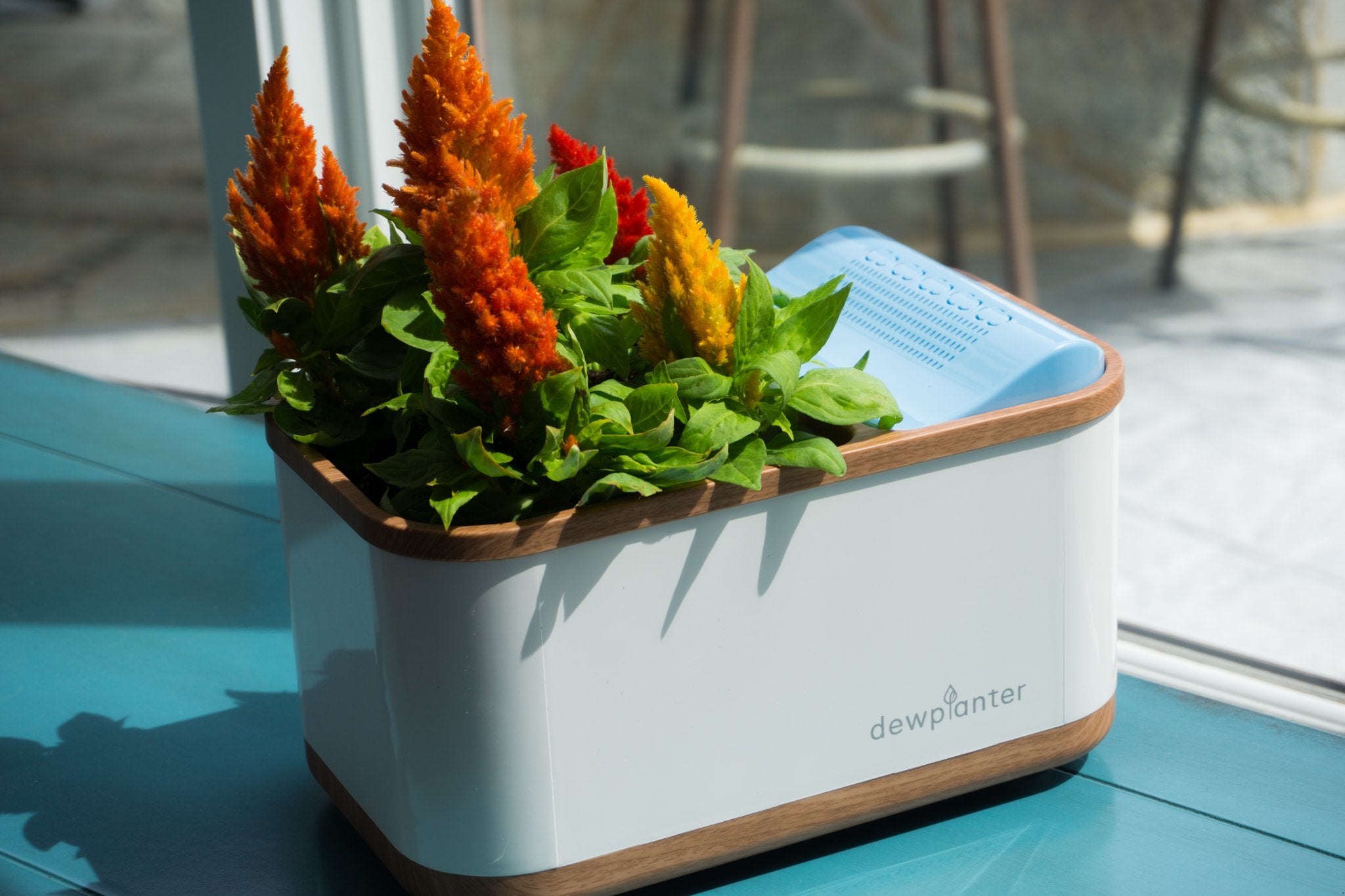 water planters for indoor plants Dewplanter